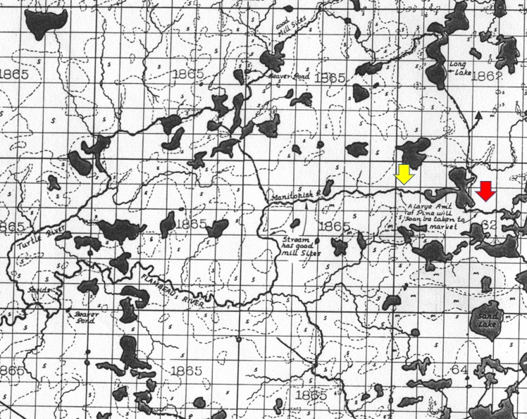 Benson Lake's Logging Traditions Clio